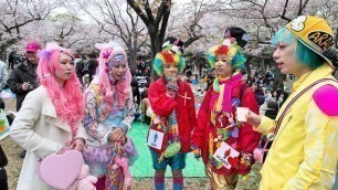 'Kawaii Hanami with Harajuku Fashion Walk'