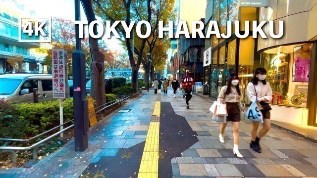 '4K Tokyo Walk on Harajuku Fashion street |  JAPAN 東京原宿 竹下通り2022 |  ASMR'