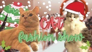 'Cat Christmas Fashion Show | VLOGMAS DAY 3'