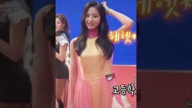 'Twice Tzuyu as Fashion model'