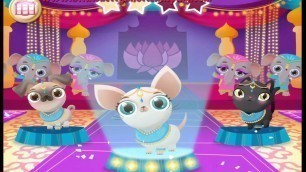 'Miss Hollywood: Lights, Camera, Fashion! - Pet Fun Part 1 Best App For Kids Game Player'