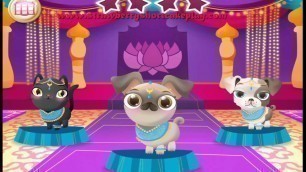 'Miss Hollywood: Lights, Camera, Fashion! - Pet Fun Part 7 Best App For Kids Game Player'