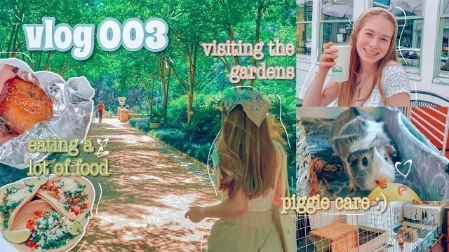 'going to the gardens, eating out too much & ross clothing haul // vlog 003'