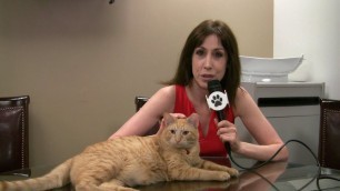 'All For Animals TV #47 - Hamlet The New Algonquin Cat'