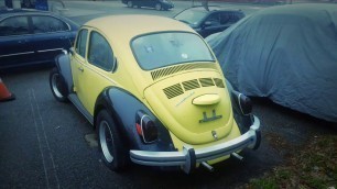 'Collectible Volkswagen Beetle Spotted By Donny Lowy From Closeoutexplosion.com'