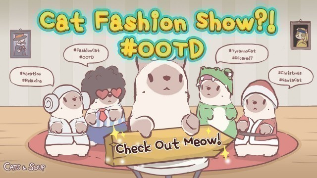 'Cats & Soup : Cat Fashion Show! What\'s your #OOTD ?'