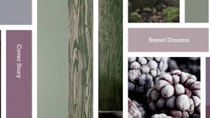 'Colour Trends Autumn Winter 2016 - Faded Berries  - Interior Paint Ideas'