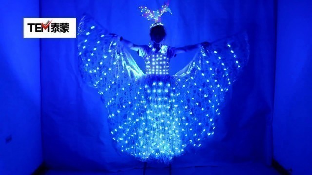 'Fashion Light Wing Led Costume Single Color Wings DJ Wing'