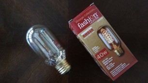 'Fashion Lighting 40watt Vintage T14 Light Bulb'