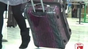 'Heys Luggage Factory Heys Exotic Fashion Spinners'