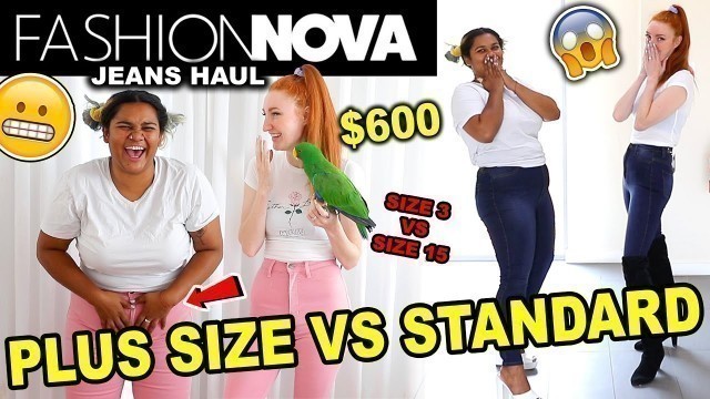 'FASHION NOVA HAUL 2020 | $600 FASHION NOVA PLUS SIZE HAUL & SIZE COMPARISON | FASHION NOVA JEANS'