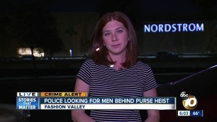 'Police search for men in Fashion Valley purse heist'