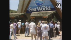 'SeaWorld, San Diego Zoo, Mission Valley Mall on Memorial Day 1984'